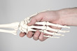 Photo: Halloween-Handshake Halloween-Handshake
