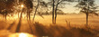 Panorama rays of the rising sun