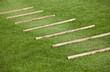 Holzstamm auf Wiese