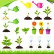 Green Set Green Set