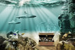 Ocean treasure