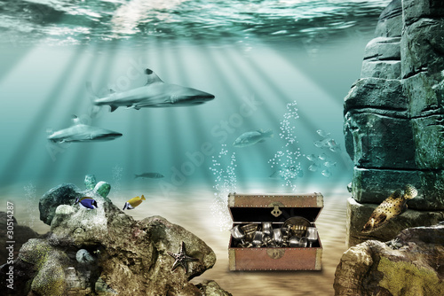 Foto: Ocean treasure Ocean treasure