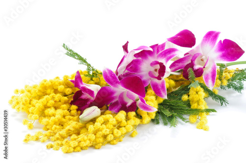 Photo: Mimosa e orchidea Mimosa e orchidea
