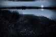 Moonlight over a lake Moonlight over a lake