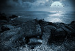 Photo: Fullmoon over the ocean Fullmoon over the ocean