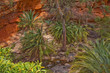 Garten Eden 2431