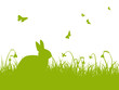 Grüne Silhouette - Hase auf einer Wiese mit Schmetterlingen