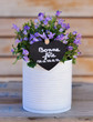 bonne fête maman, petit pot de fleurs