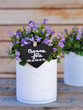 bonne fête maman, petit pot de fleurs 2 bonne fête maman, petit pot de fleurs 2