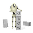 Robot building blocks, grow
