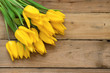 Yellow tulips Yellow tulips