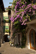 Torri del Benaco, balcone fiorito