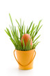 Easter decoration