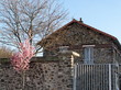 Arbre en fleurs devant maison de pierre. Arbre en fleurs devant maison de pierre.