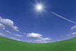 Green filed and contrail