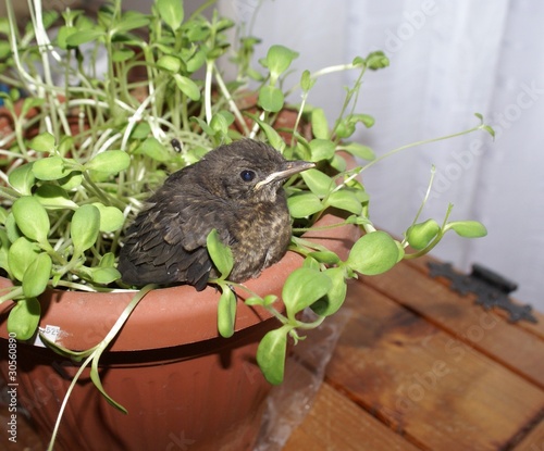 photo par cioccolatina