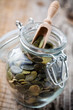 Pumpkin seeds