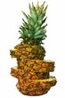 Sliced freesh ananas