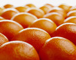 Close up of ripe oranges