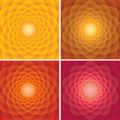 Vector: Single Flower Backgrounds. Single Flower Backgrounds.