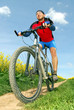 mountain biker