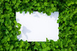 paper_clover_042