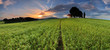 Sunset over farm field with lone tree and chapel Sunset over farm field with lone tree and chapel