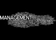 Management