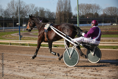 Photo: Harness Racing.Trotting horse. Harness Racing.Trotting horse.