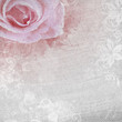 grunge romantic background with rose
