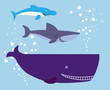 Large animal that lives in sea