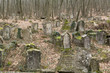 Ancient cemetery of dying people Karaites