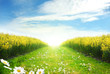 Foto: Beautiful spring Beautiful spring