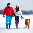 Walking with dog