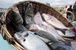 Photos : Panier de poissons sur le march� du Vieux-Port à Marseille.