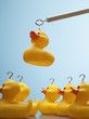 Pole lifting rubber duck with hook in its head