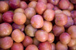 Photo en ligne au meilleur prix Store Plums