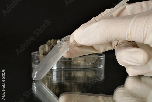 Photo: Oese in test tube Oese in test tube
