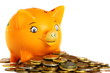 Business concept. Lucky piggy bank. Business concept. Lucky piggy bank.