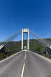 automobile bridge