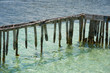 Ocean Pier