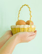 basket of eggs