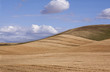 Undulating Planting Lines of Fields in Palouse Region