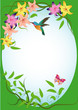 vector illustration with flowers and colibri vector illustration with flowers and colibri