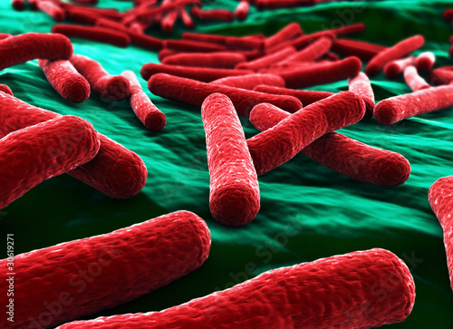 Illustration: E coli Bacteria close up E coli Bacteria close up