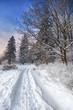Photo: winter scenery winter scenery