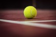 Tennis yellow ball