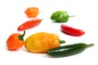 chili Habanero Serrano hot mexican peppers
