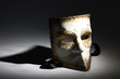 Carnival mask