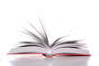 Bildung Bildung